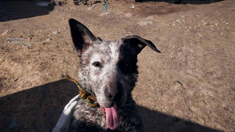 Illustration for article titled Far Cry 5 Has Some Very Good Dogs